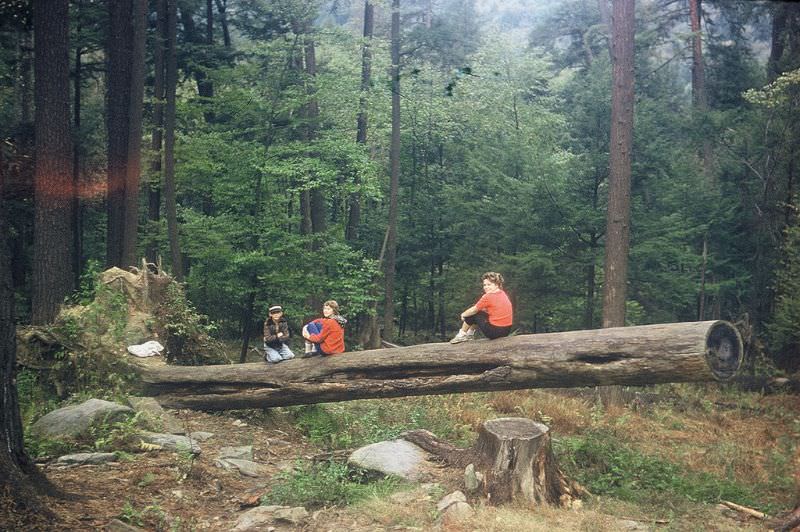 Cathedral of the Pines, Cook Forest, Pennsylvania. July 1959