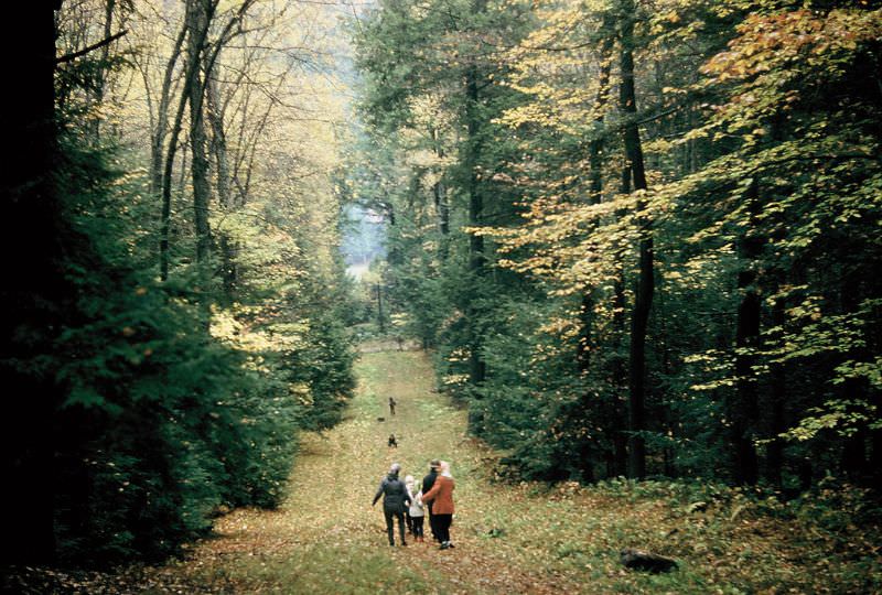 Trail at Cook Forest State Park, Pennsylvania. May 1955