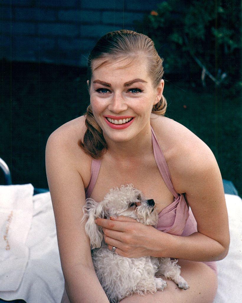 Anita Ekberg posing with a dog, 1969.