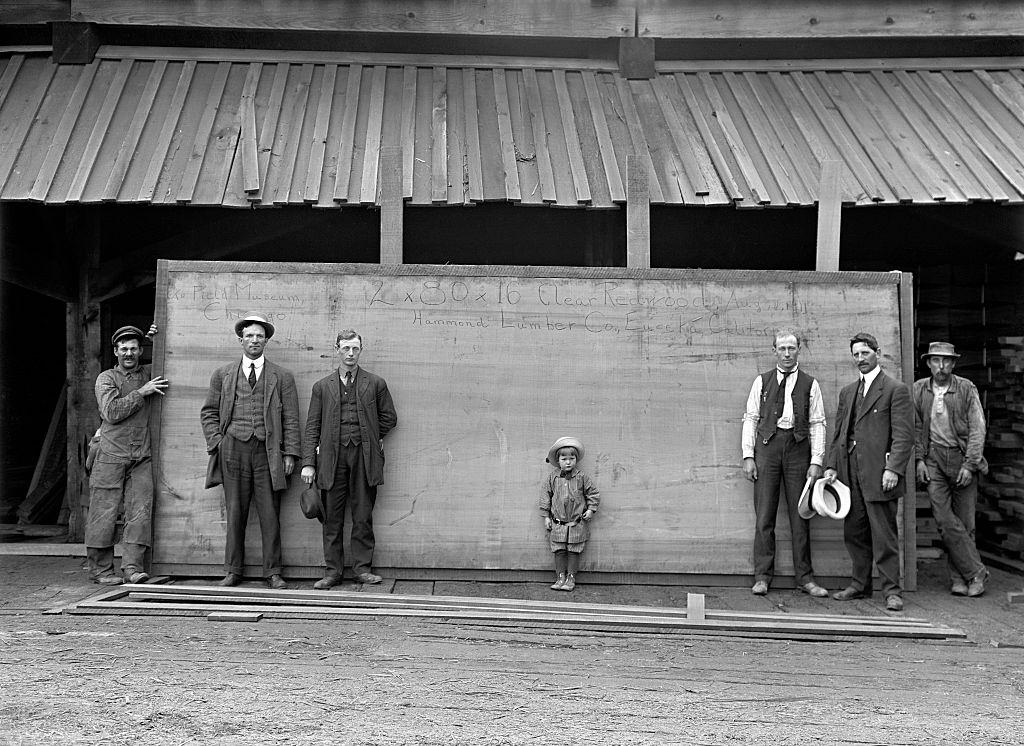 People standing in front of a Giant Redwood plank, now used as a table in the Field Museum Botany department. Chicago, August 1911.