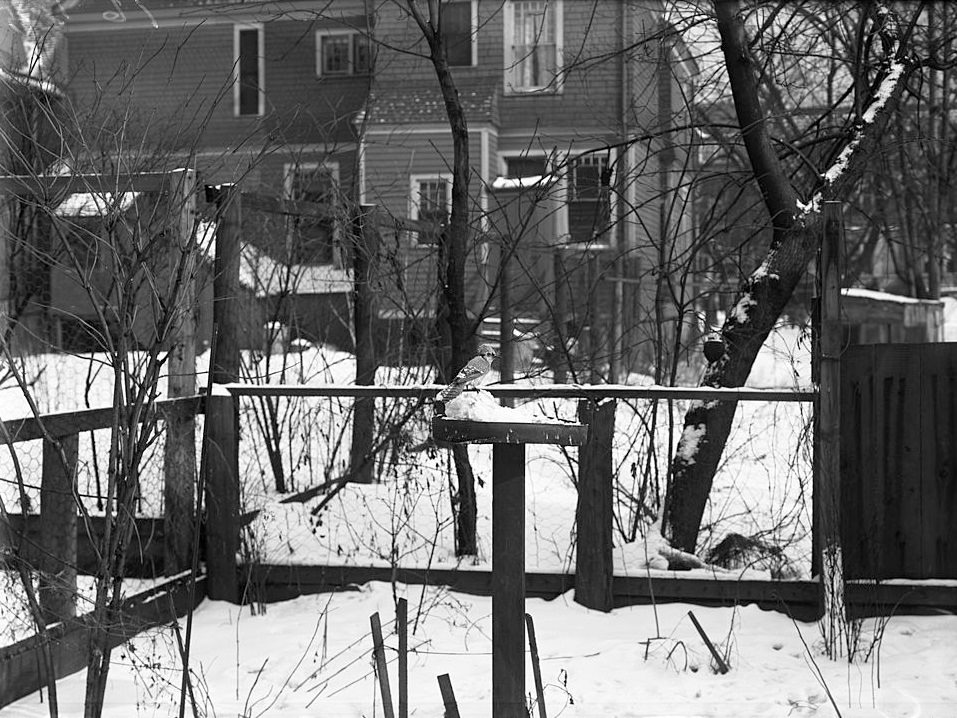 Hyde Park neighborhood, Chicago, 1912.