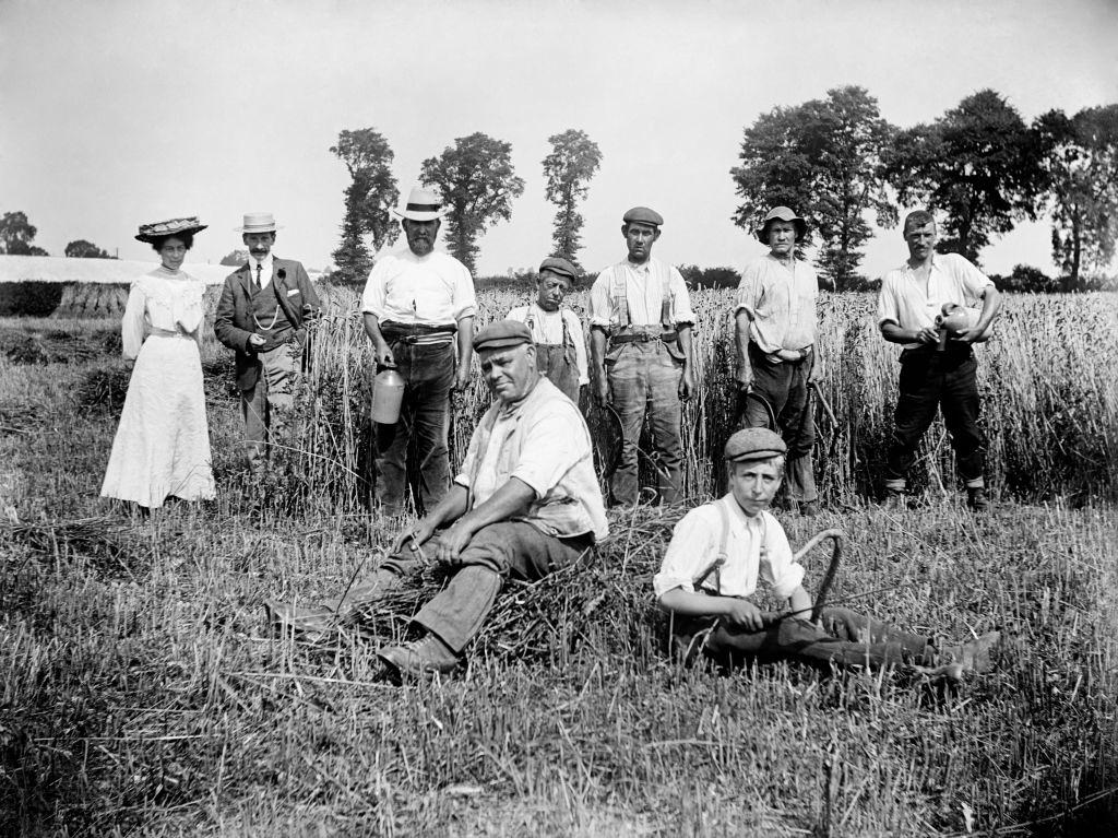 Harvest time, Cadsden, near Princes Risborough, Buckinghamshire, 1903.