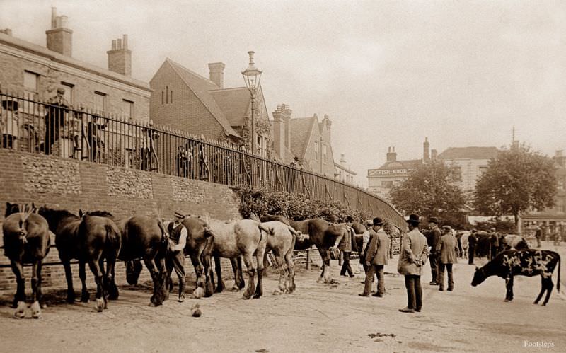 The Market, Canterbury