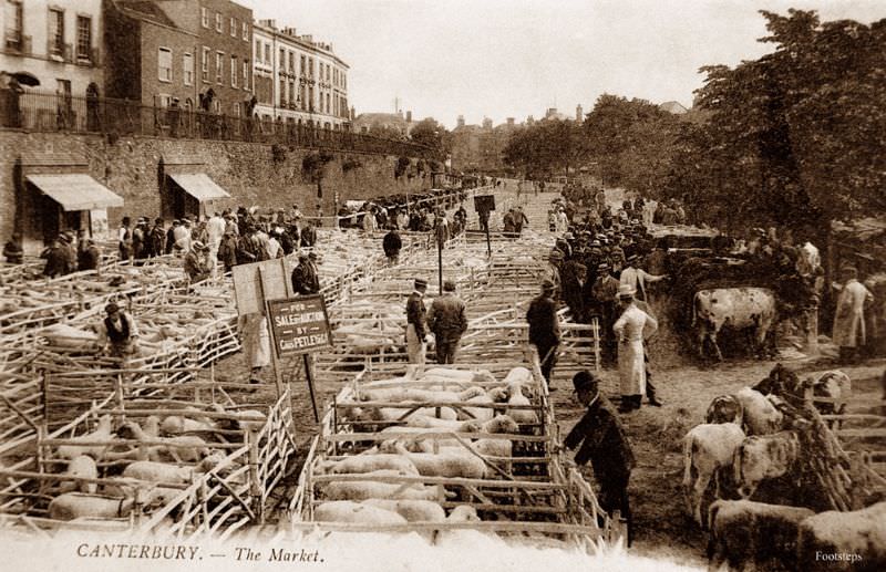 The Market, Canterbury