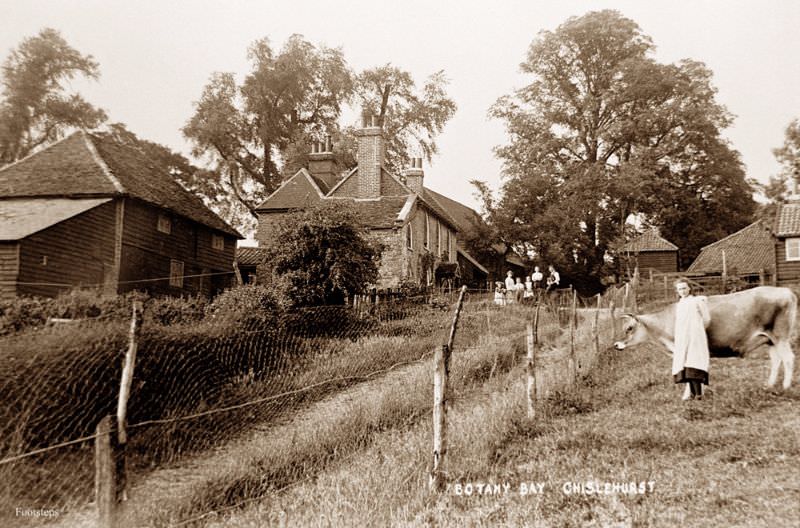 Botany Bay, Chislehurst