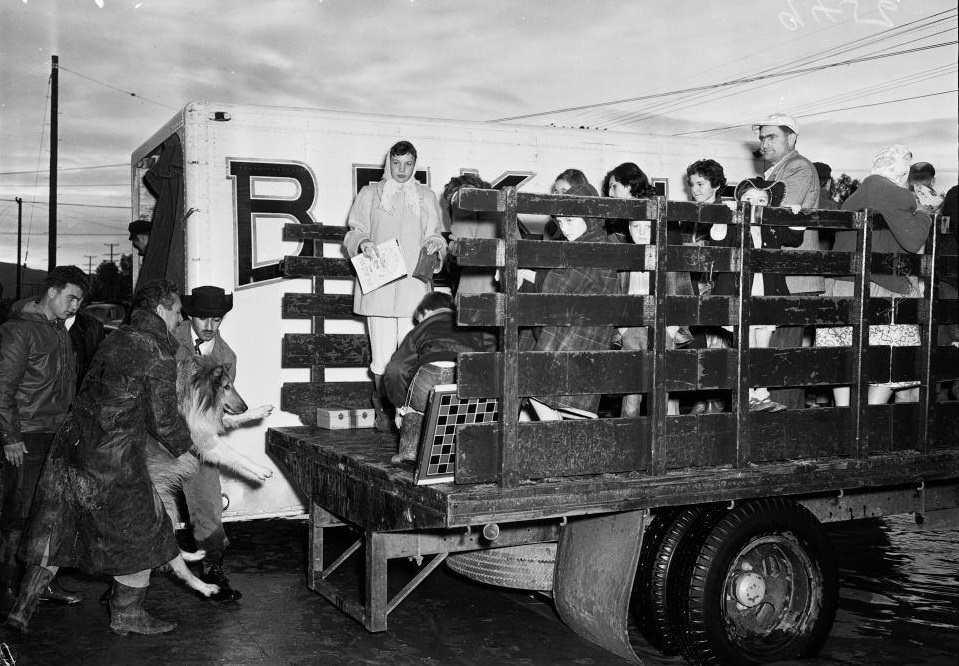 Victims of the flood peer thru truck, Van Nuys. 18 January 1952.