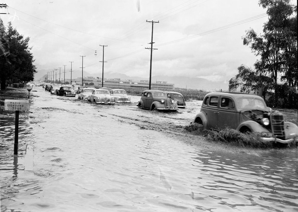 Cars on the flooded road in Culver Boulevard. 1952.