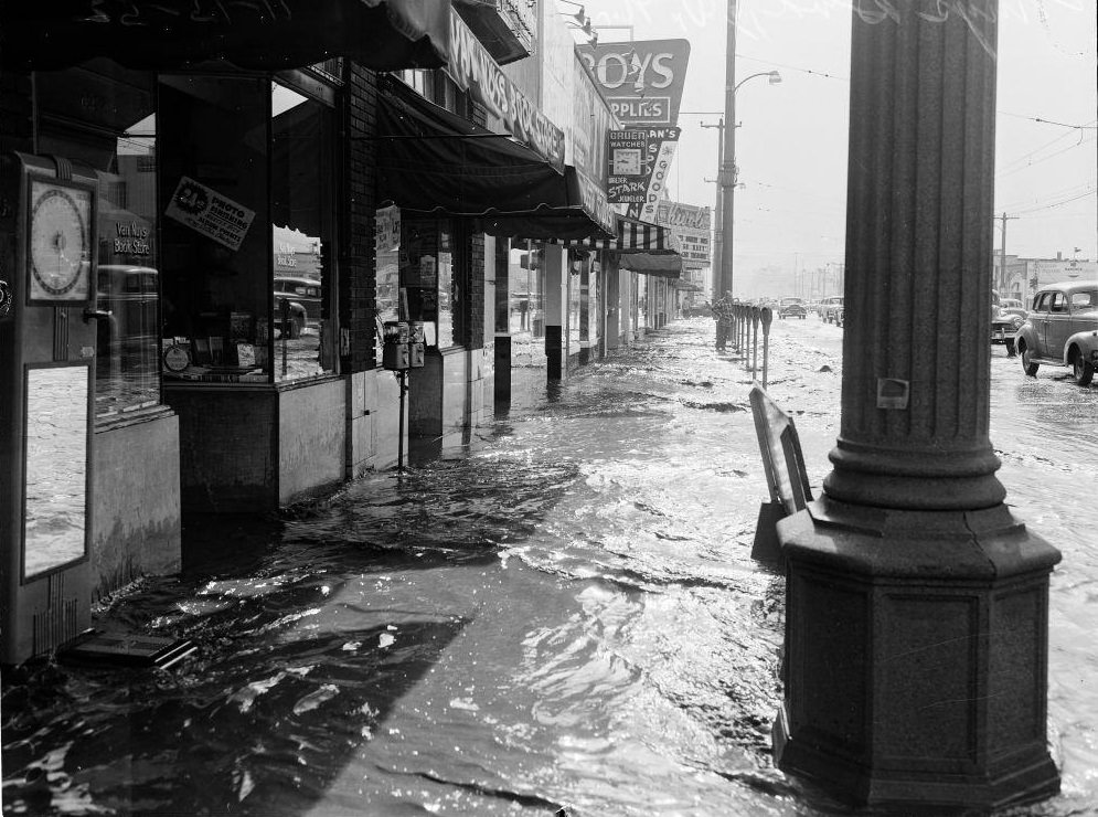 Grace Avenue, Los Angeles. November 1952.