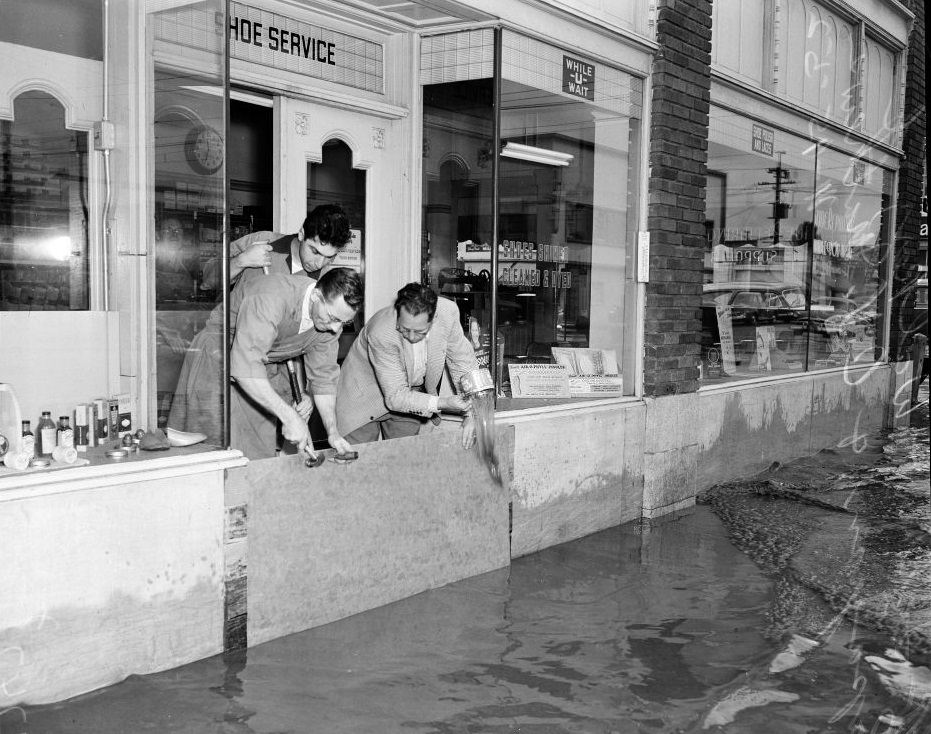 A shoe service store owners putting a sheet to protect their shop from flood water. November 1952.