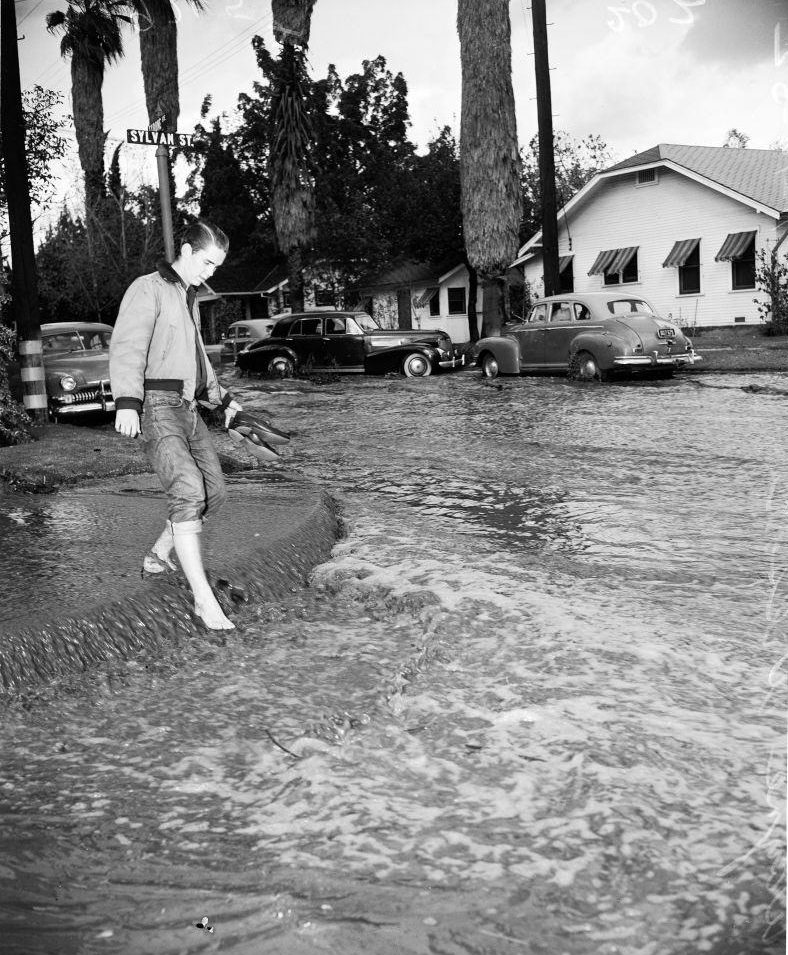 Sylvan Street, Los Angeles. 14 November 1952.