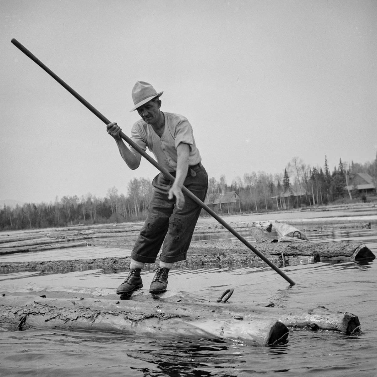 A woodsman wearing spiked shoes opens up an empty boom at the upper end of Mooselookmeguntic Lake so it can be filled with more logs from the Kennebago River.