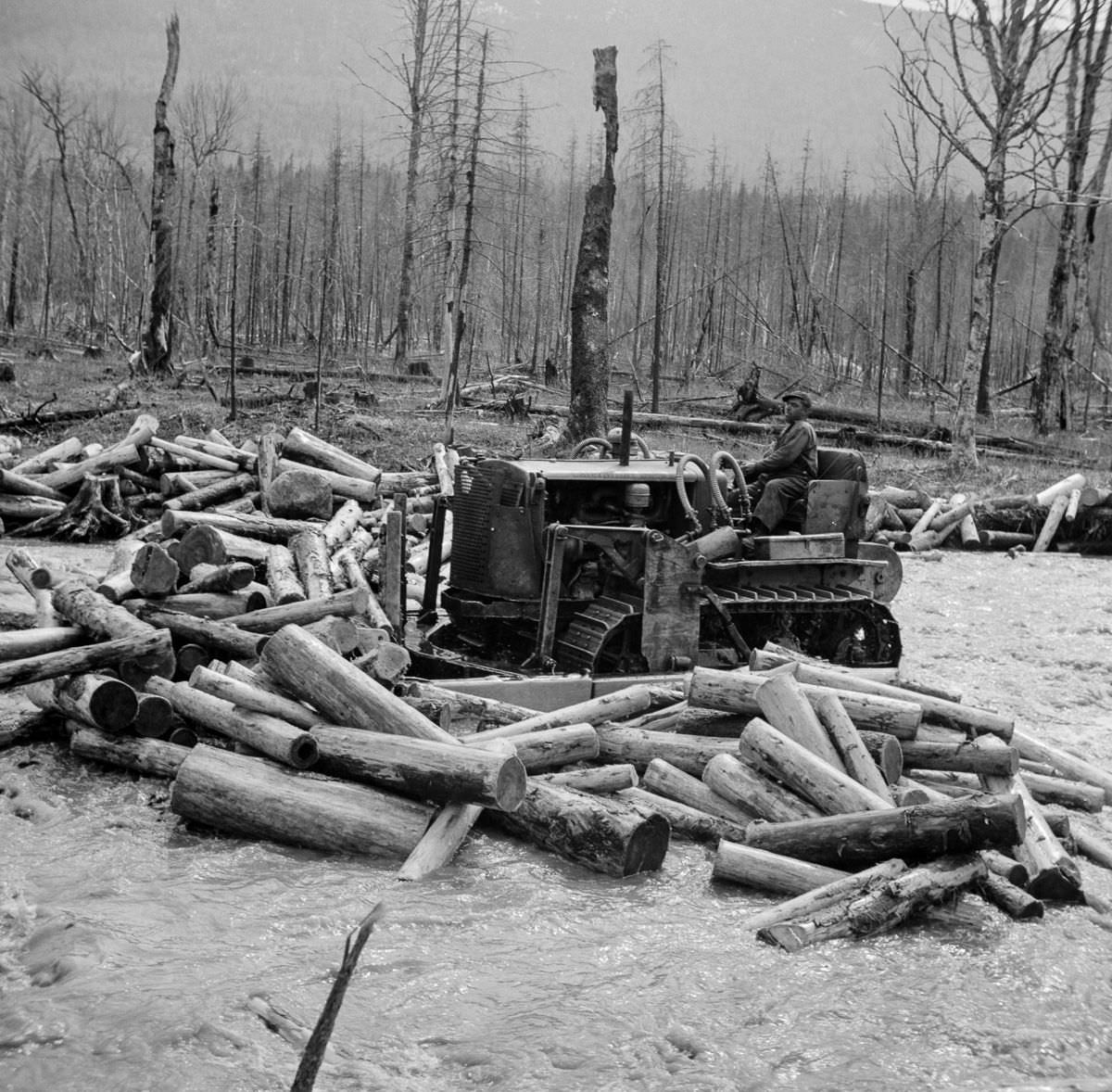 A bulldozer clears a log jam in Dennison Bog Creek.