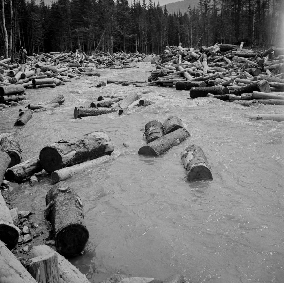 Maine Woodsmen: Fascinating Vintage Photos Show Woodsmen Shepherding Timber Through the rivers And Lakes