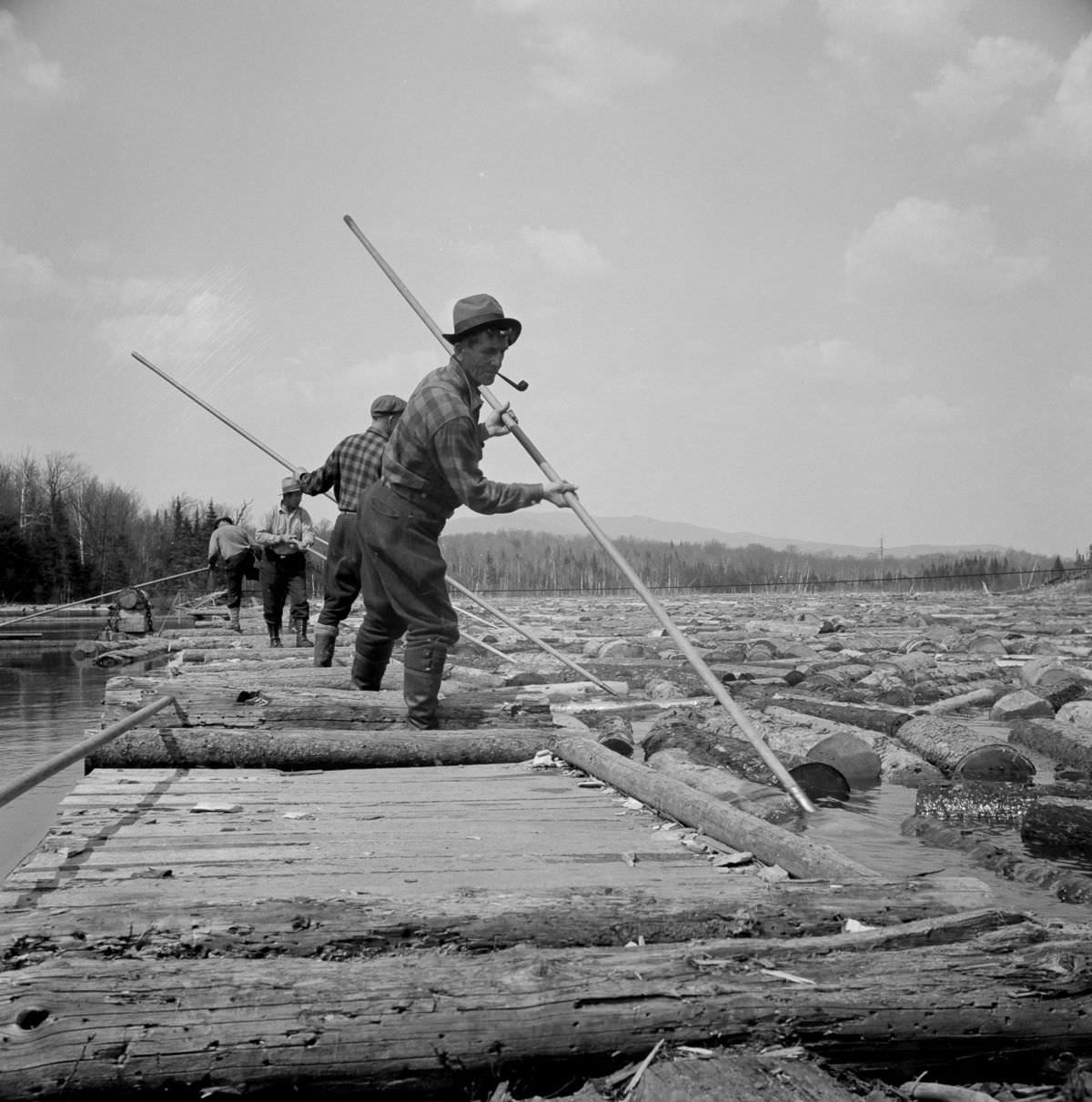 Maine Woodsmen: Fascinating Vintage Photos Show Woodsmen Shepherding Timber Through the rivers And Lakes