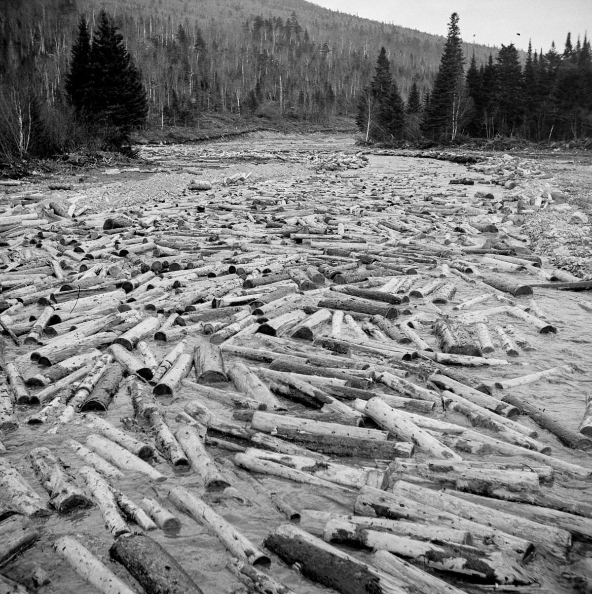 Maine Woodsmen: Fascinating Vintage Photos Show Woodsmen Shepherding Timber Through the rivers And Lakes