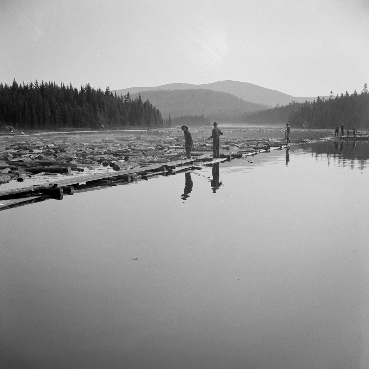 Woodsmen use pikes to keep logs moving smoothly toward the sluiceway.