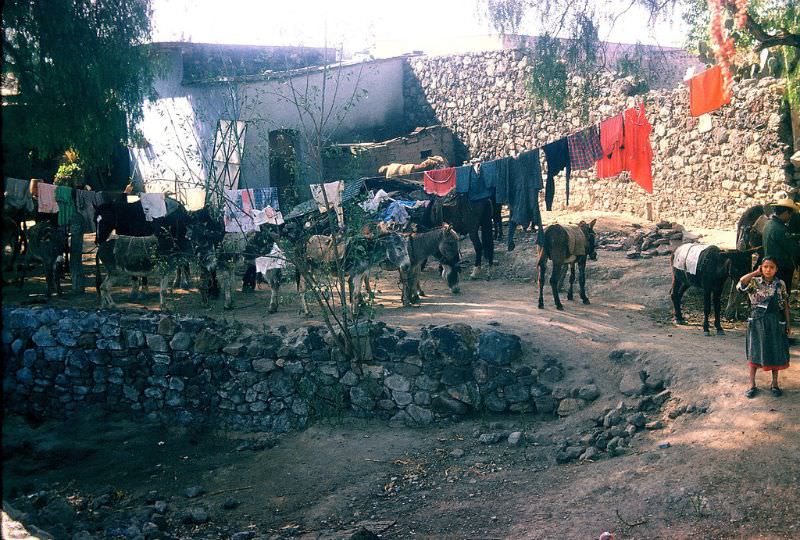 Backyard of village, near Teotihuacan, Mexico, December 1958