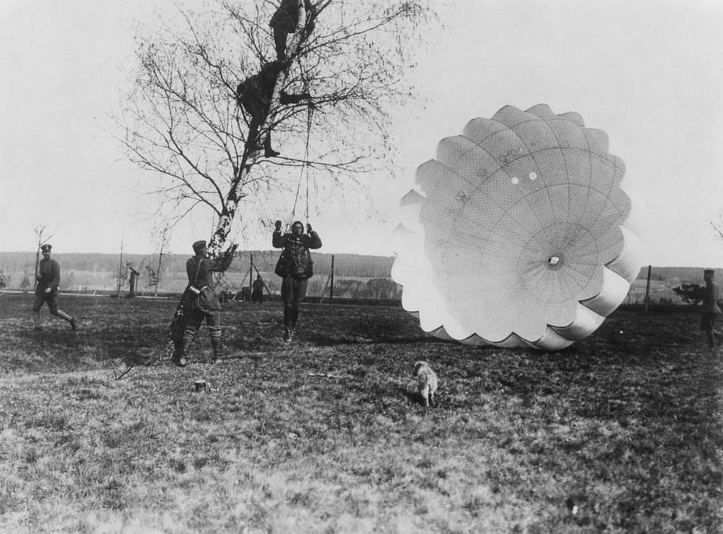 An observer is disentangled from a tree after parachuting from his balloon, 1918.