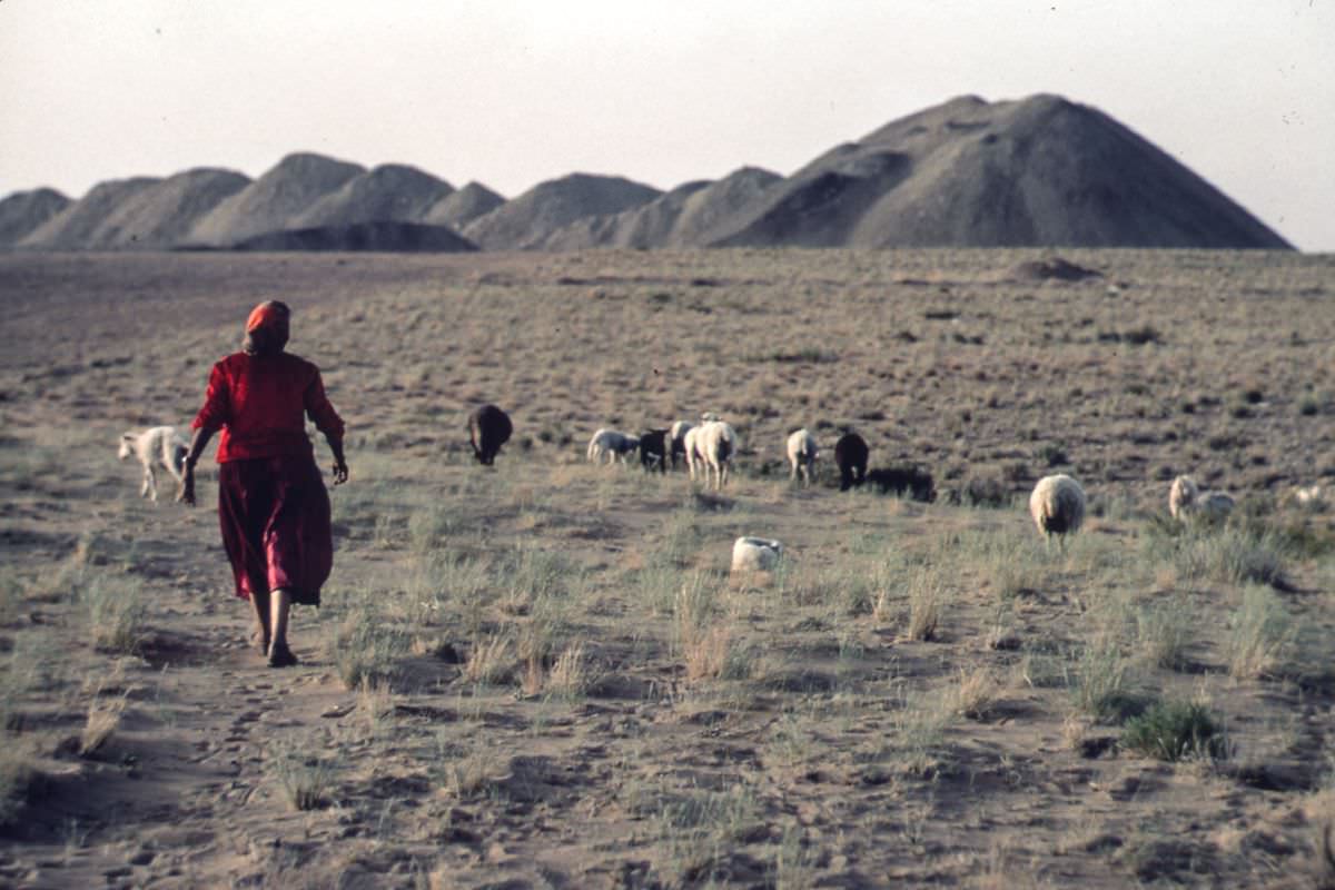 A Navajo shepherd near Four Corners, Utah.