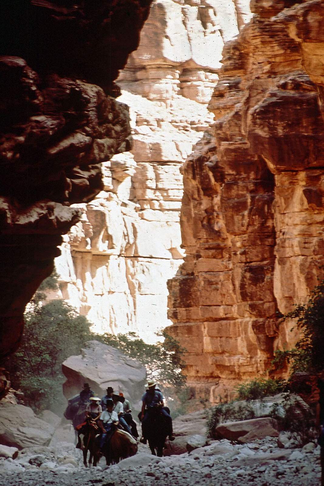 Men ride into the Grand Canyon on the way to the village of Supai, Arizona.