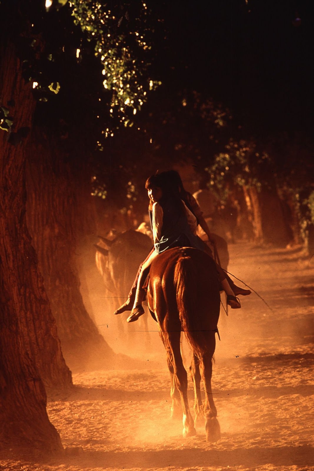 Children ride a horse in the village of Supai, Arizona.