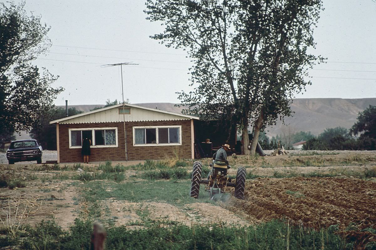 A Navajo man plows his garden in Shiprock, New Mexico.