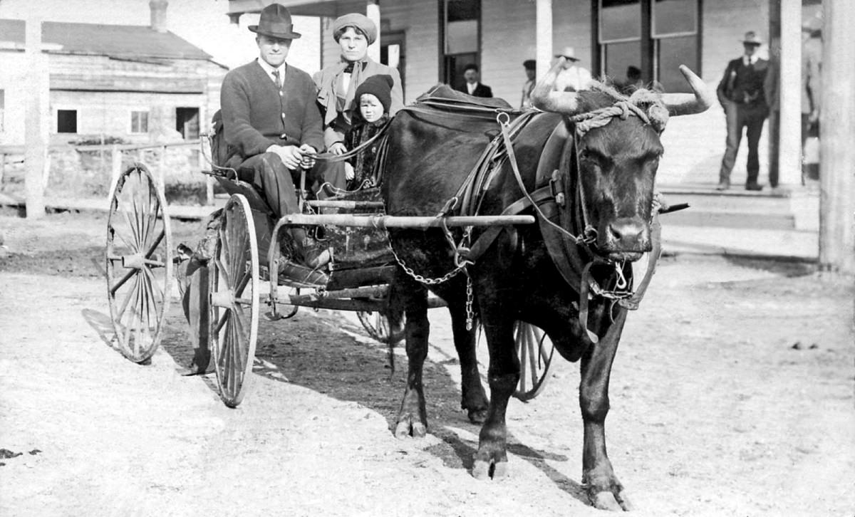 Family in a carriage, Humboldt, Saskatchewan