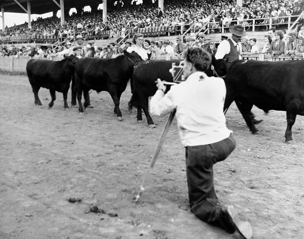 NFB film director and cameraman Lawrence Cherry shoots a sequence at the Weyburn Fair, Saskatchewan, Canada, July 1946.