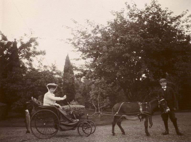 Woman in small carriage, possibly in the Ballindarroch area, c. 1907.
