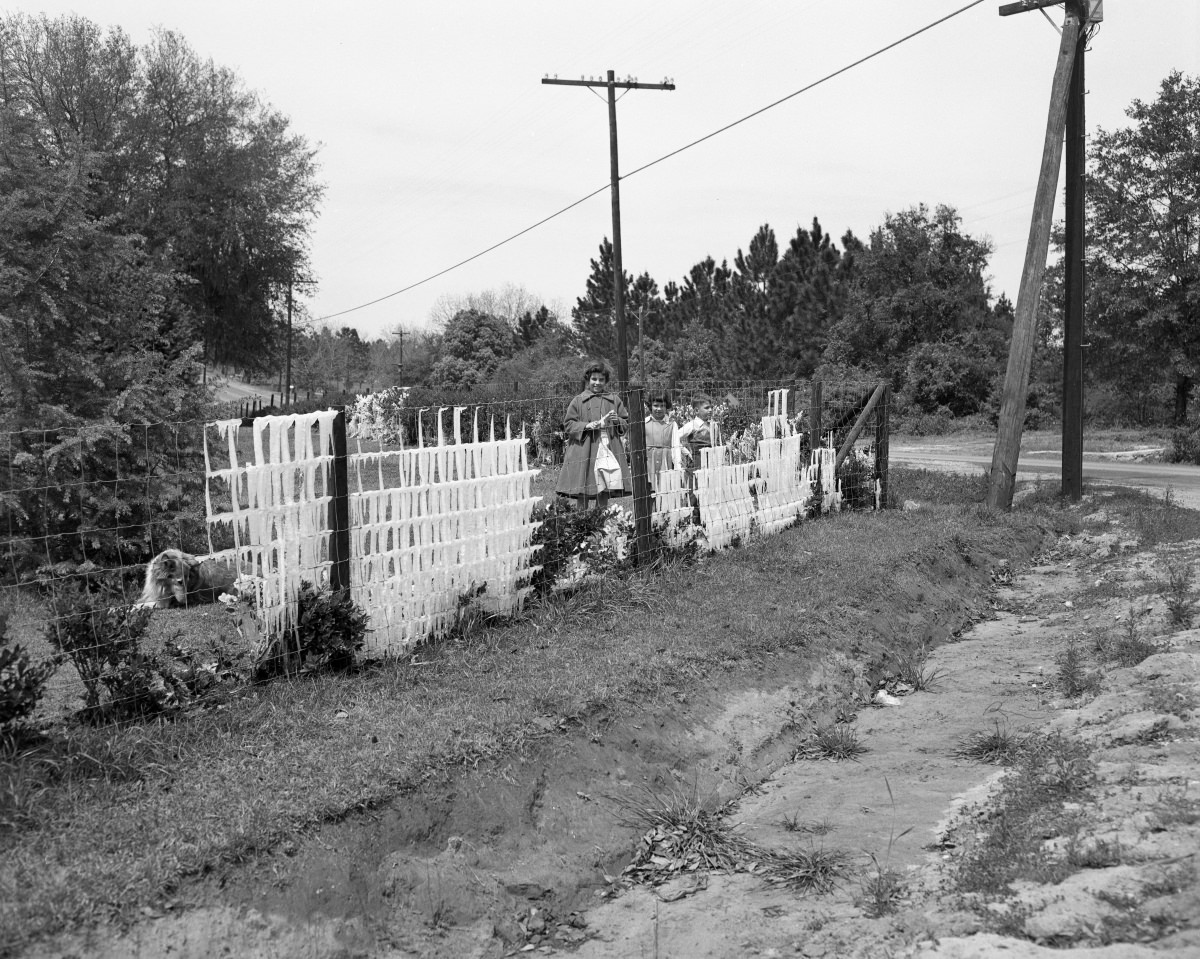 Children next to ice covered fence – Tallahassee, Florida. – March 27, 1955