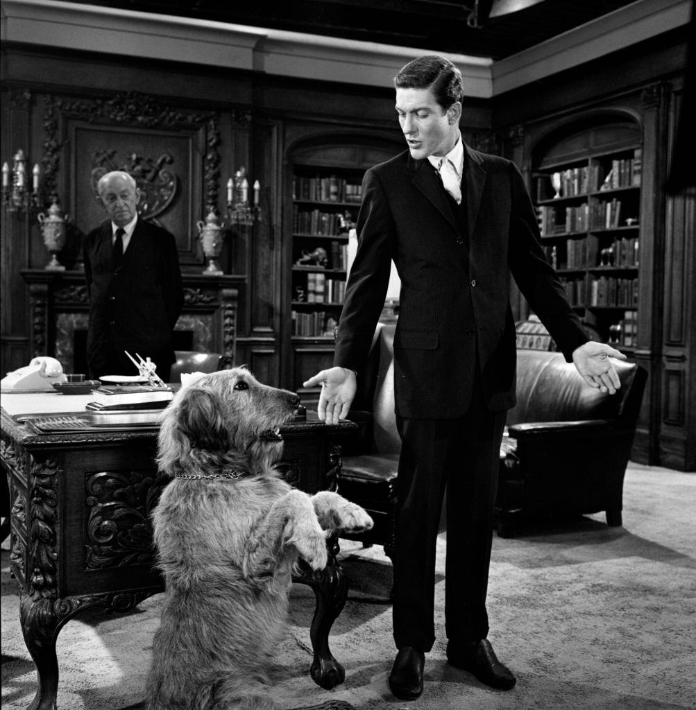 Dick Van Dyke (as Thomas Craig) with a dog in CBS television program, "Alfred Hitchcock Presents", 1960.
