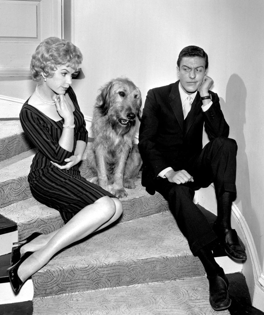 Dick Van Dyke (as Thomas Craig) Stella Stevens (as Judy) with a dog, 1960.