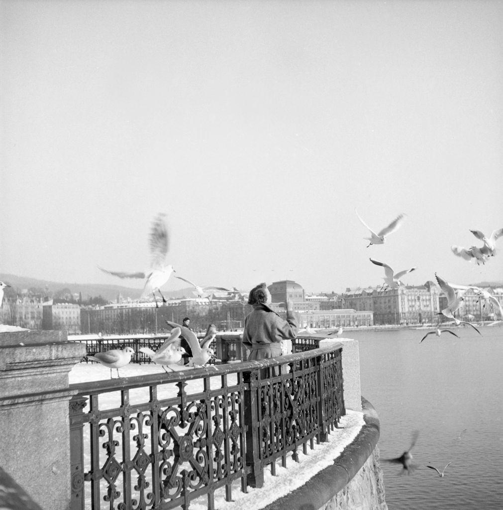Women feeding gulls at the Zurichsee, Zürich, 1952.