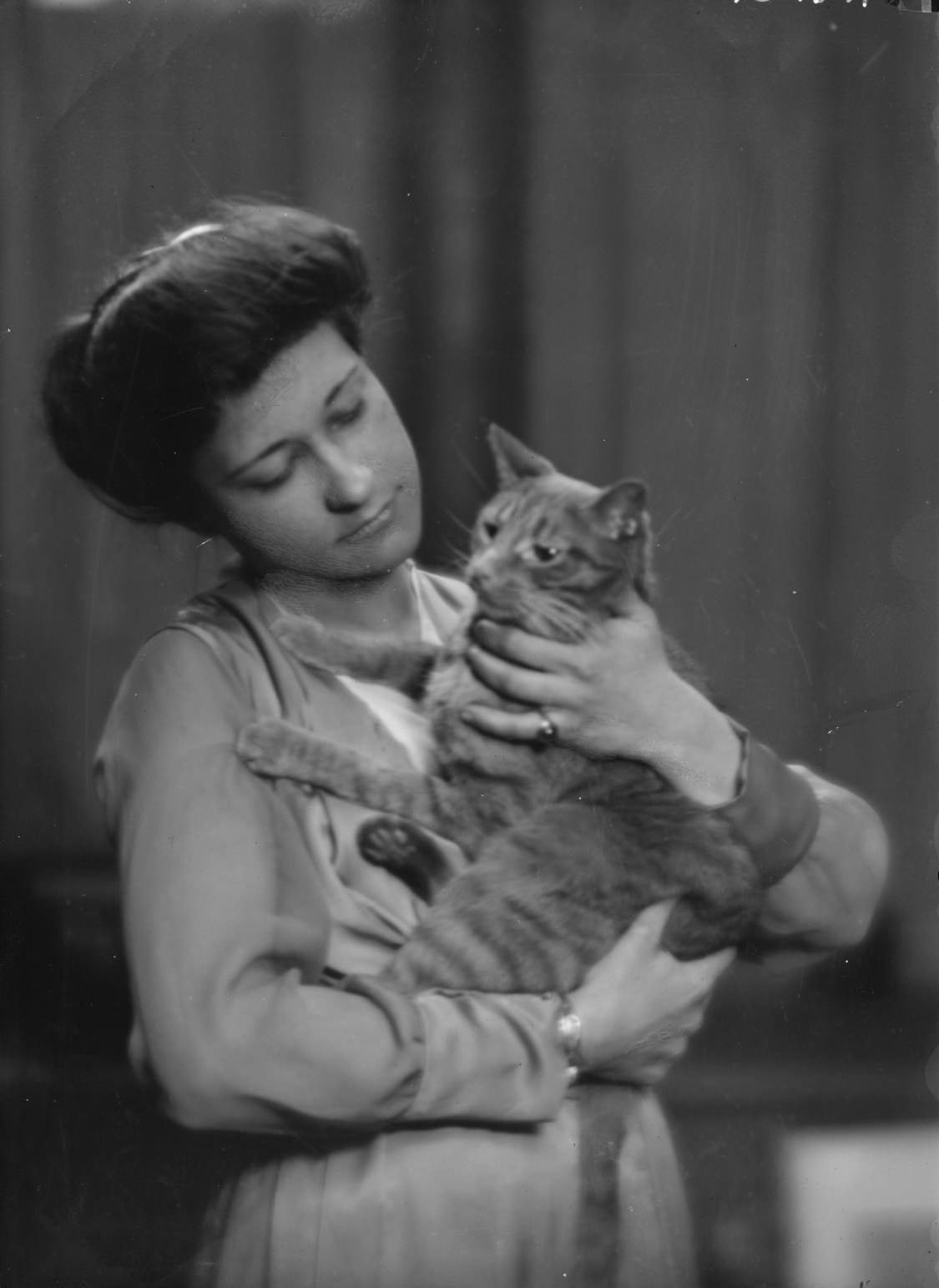 Buzzer the Studio Cat: A Photographer Used His Cuddly Cat as Adorable Prop In the 1900s