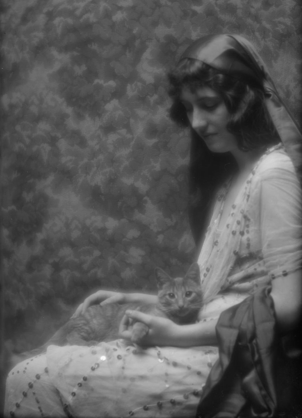 Buzzer the Studio Cat: A Photographer Used His Cuddly Cat as Adorable Prop In the 1900s