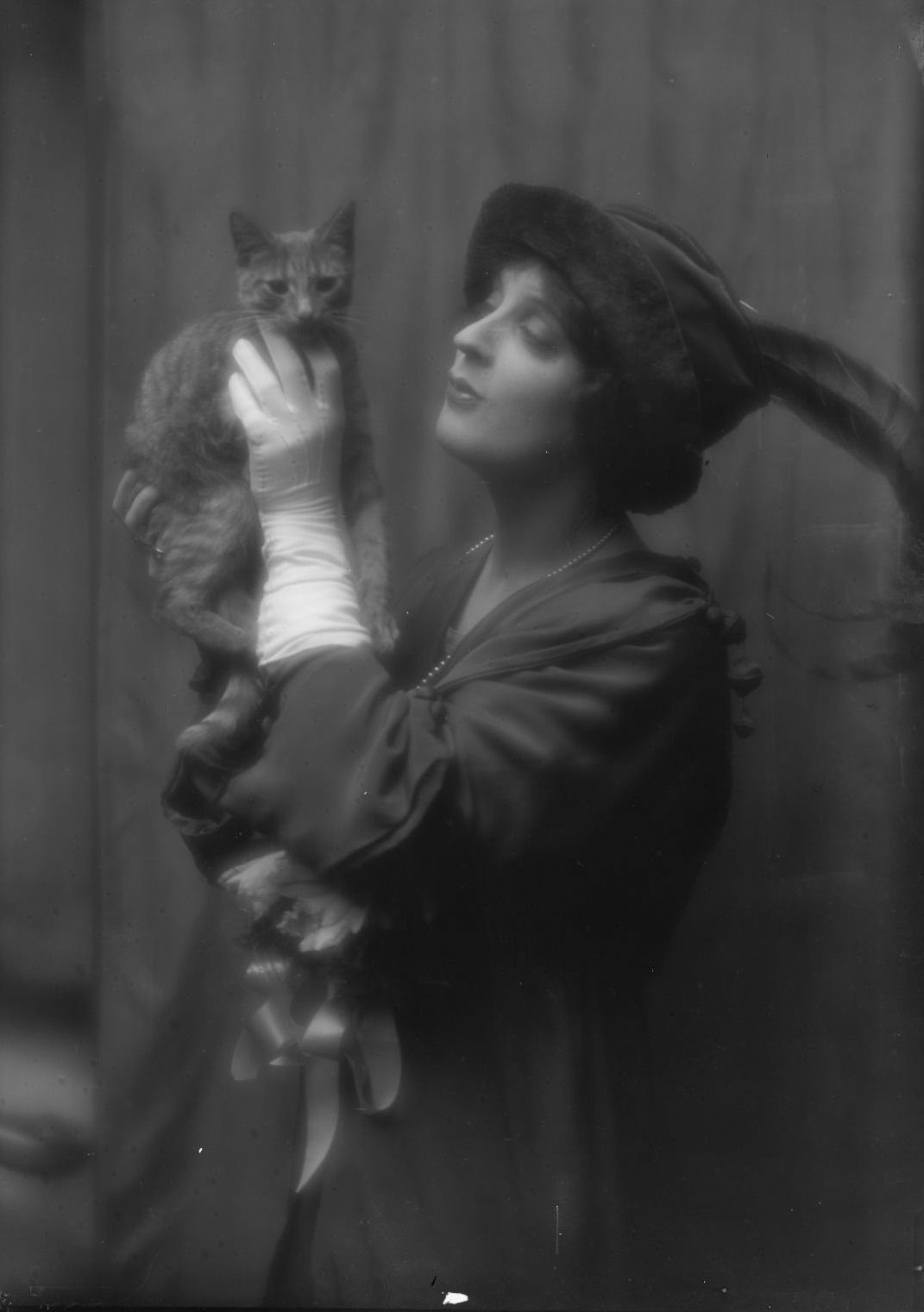 Buzzer the Studio Cat: A Photographer Used His Cuddly Cat as Adorable Prop In the 1900s