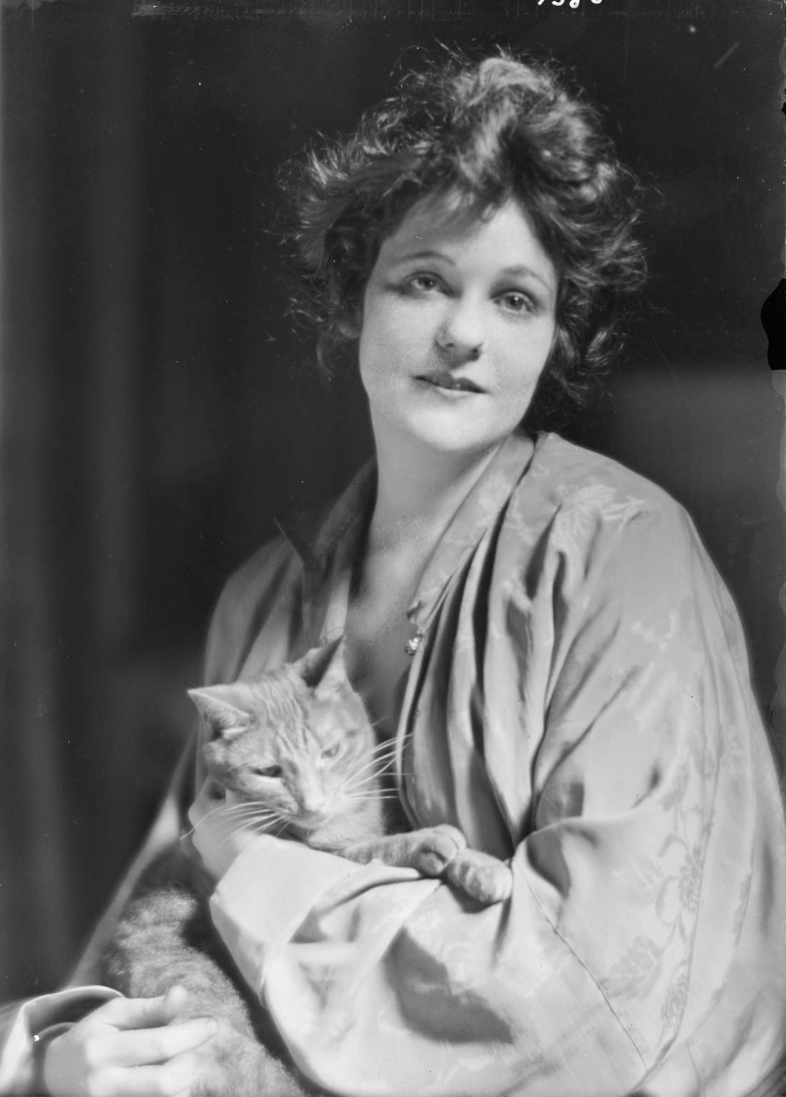 Buzzer the Studio Cat: A Photographer Used His Cuddly Cat as Adorable Prop In the 1900s