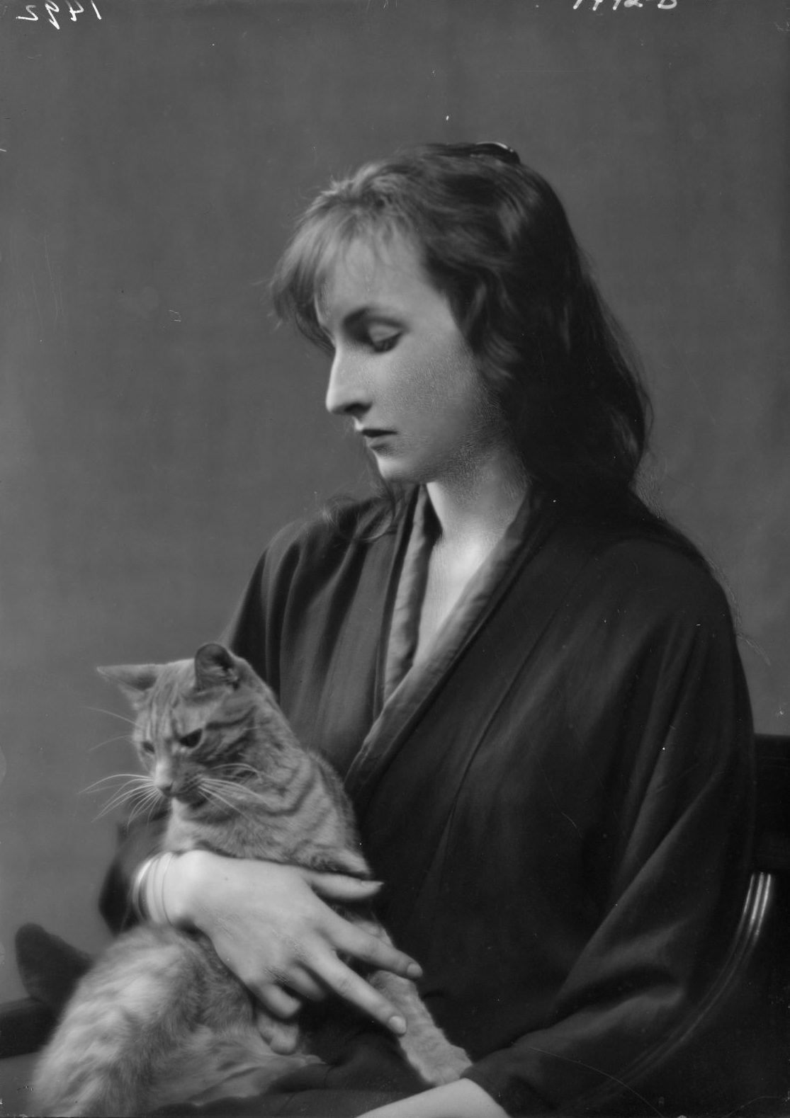 Buzzer the Studio Cat: A Photographer Used His Cuddly Cat as Adorable Prop In the 1900s