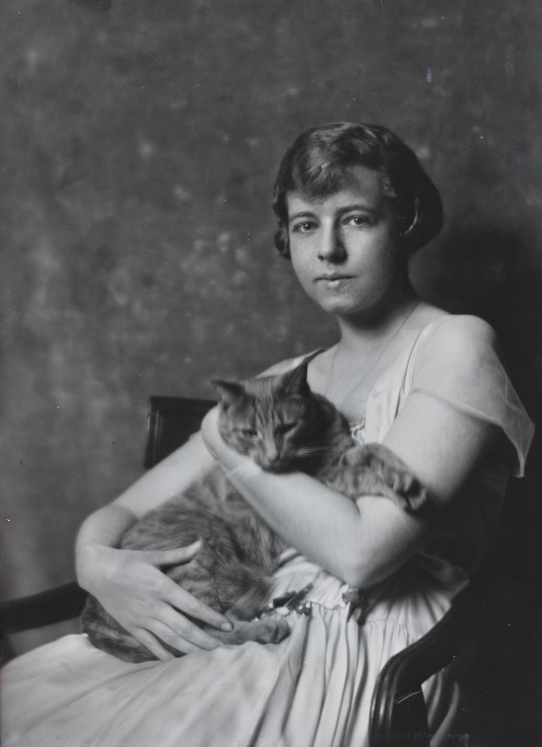 Buzzer the Studio Cat: A Photographer Used His Cuddly Cat as Adorable Prop In the 1900s