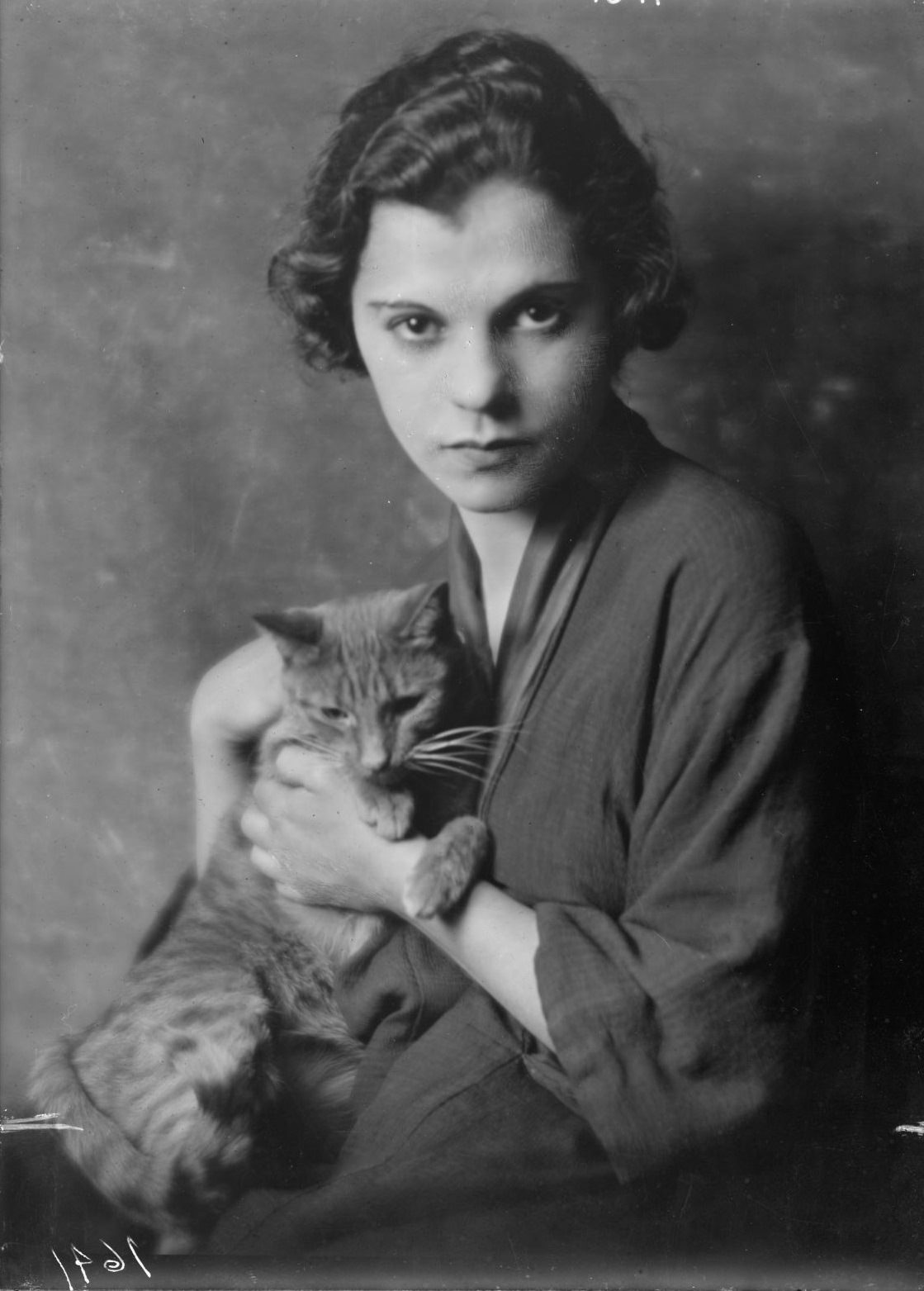 Buzzer the Studio Cat: A Photographer Used His Cuddly Cat as Adorable Prop In the 1900s