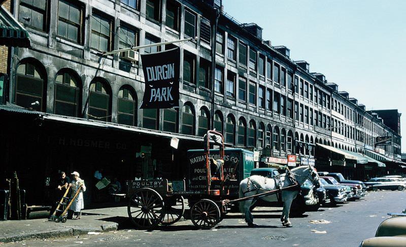 America 1950s