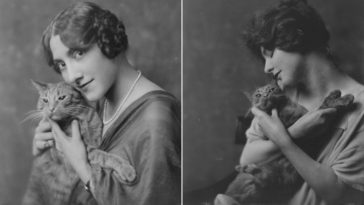 Buzzer studio cat portraits with women 1900s