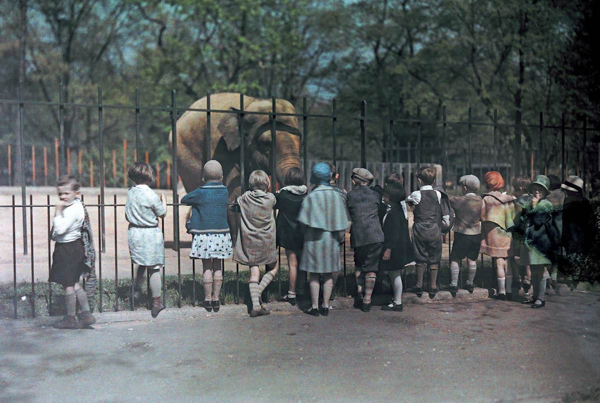 A group of children looks at an elephant at the National Zoo. Washington, DC.