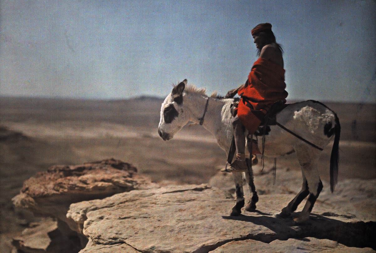 A Hopi Indian on his donkey stands on the edge of a high mountain.