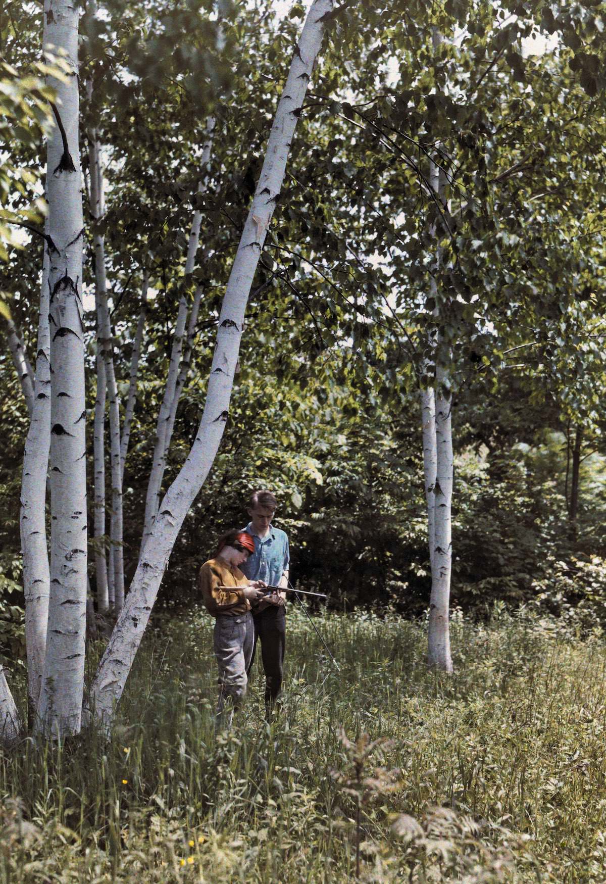 Two men stand among white birches in the Battenkill Valley, Bennington, Vermont.