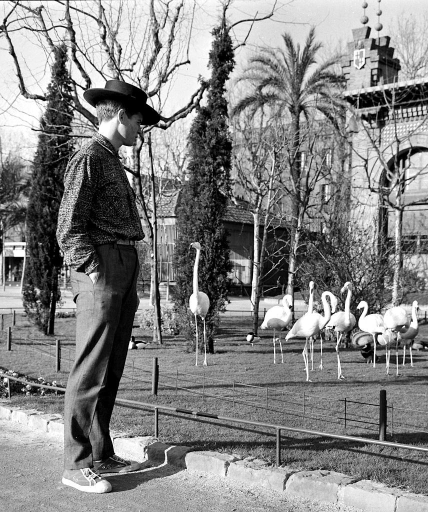 The first bullfights of the Spanish bullfighter Manuel Benitez El Cordobes' in the bullring La Monumental, Barcelona. 5th March 1961
