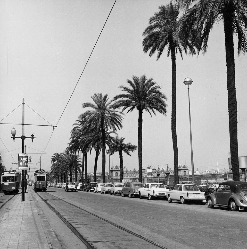 A street where the tram lines run in Barcelona lined with Palm trees, August 1962.