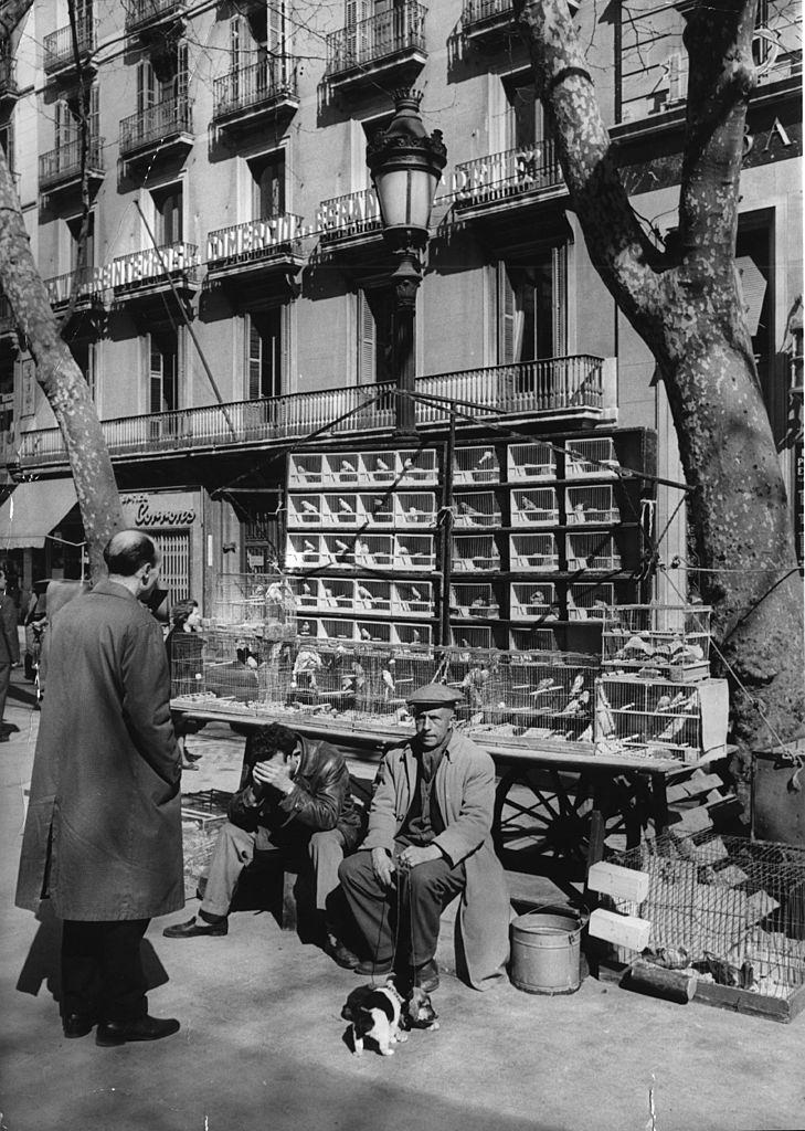 A Spanish street seller selling birds on the Ramblas in Barcelona, 1970s.