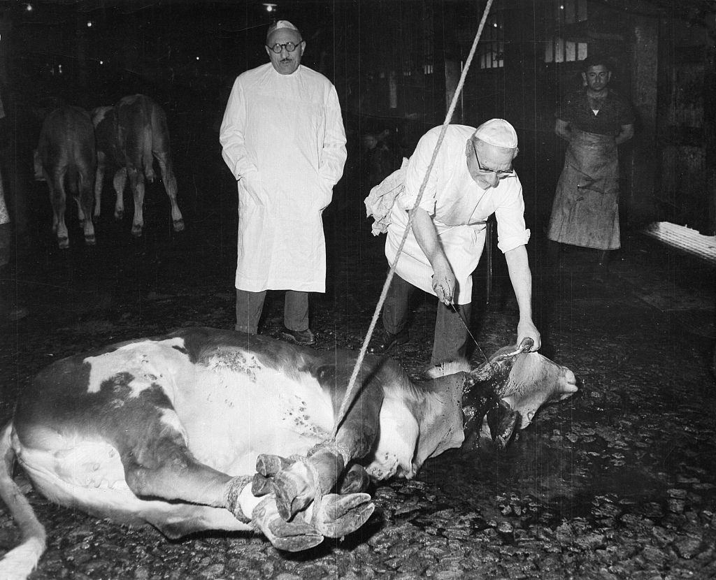 Bensabat during the slaughter of a calf in the presence of the head of the Jewish community in Barcelona, 1970.