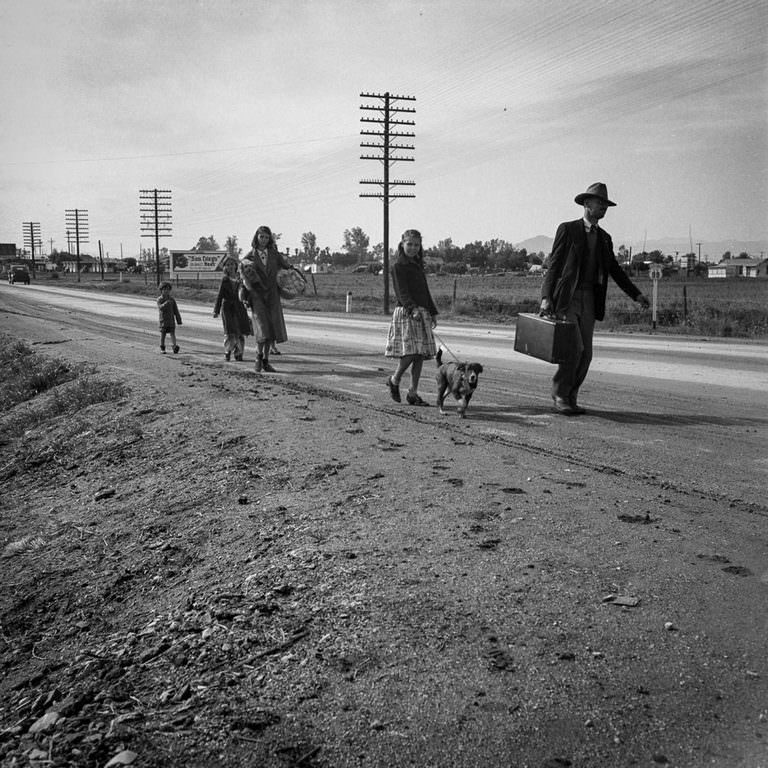 A homeless cotton-picking family of seven walk on Highway 99 from Phoenix, Arizona to San Diego in search of relief. 1939